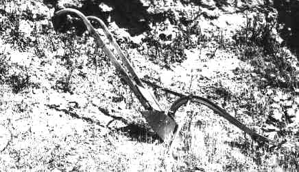arado.jpg (26171 bytes)