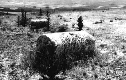 rulos.jpg (17983 bytes)